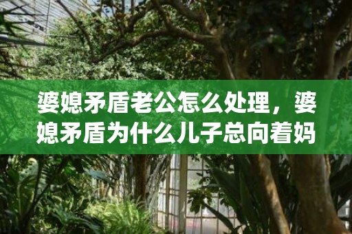 婆媳矛盾老公怎么处理，婆媳矛盾为什么儿子总向着妈(婆媳矛盾,男人都是站在老妈这边吗)