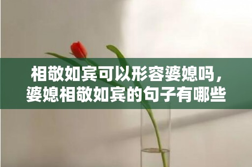 相敬如宾可以形容婆媳吗，婆媳相敬如宾的句子有哪些呢 视如己出 相敬如宾