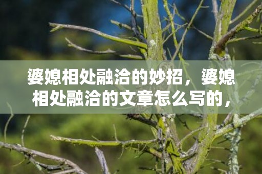 婆媳相处融洽的妙招，婆媳相处融洽的文章怎么写的，婆媳相处融洽