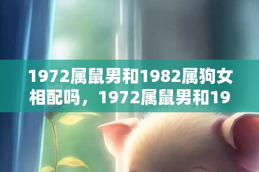 1972属鼠男和1982属狗女相配吗，1972属鼠男和1981属鸡女