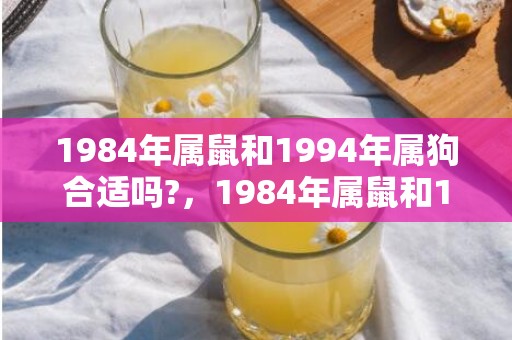 1984年属鼠和1994年属狗合适吗?，1984年属鼠和1991年属羊的婚姻