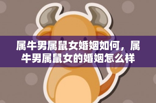 属牛男属鼠女婚姻如何，属牛男属鼠女的婚姻怎么样