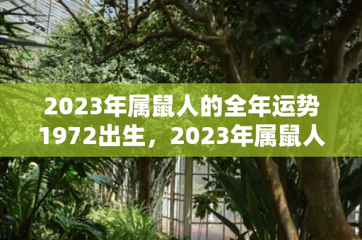 2023年属鼠人的全年运势1972出生，2023年属鼠人的每月运势1972出生