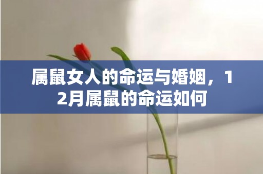 属鼠女人的命运与婚姻，12月属鼠的命运如何