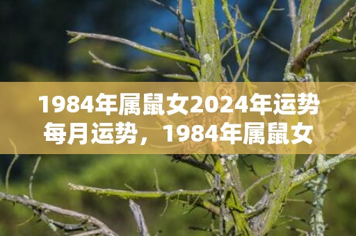1984年属鼠女2024年运势每月运势，1984年属鼠女2023年的运程