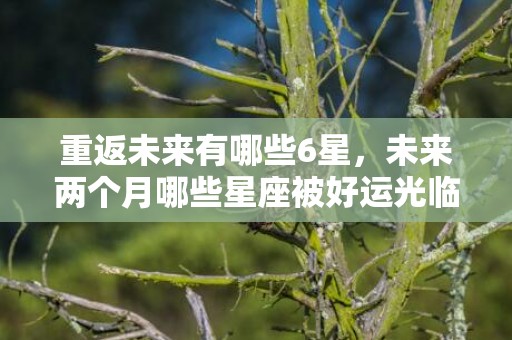 重返未来有哪些6星，未来两个月哪些星座被好运光临