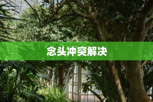念头冲突解决