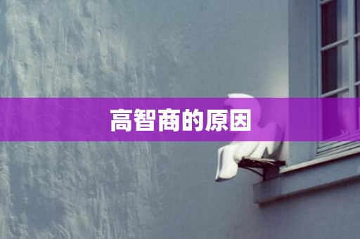 高智商的原因