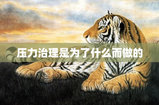 压力治理是为了什么而做的