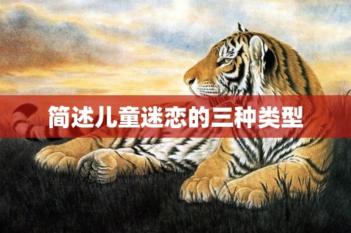 简述儿童迷恋的三种类型