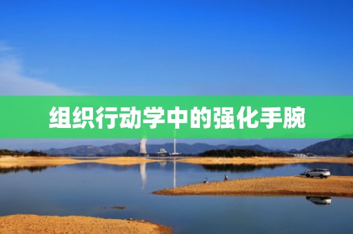 组织行动学中的强化手腕