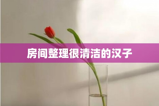 房间整理很清洁的汉子