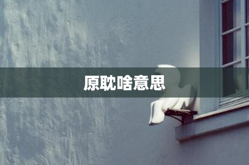 原耽啥意思