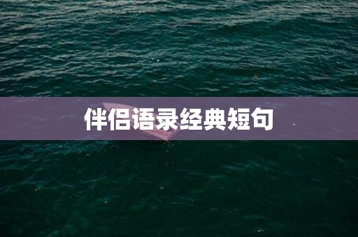伴侣语录经典短句