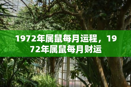 1972年属鼠每月运程，1972年属鼠每月财运