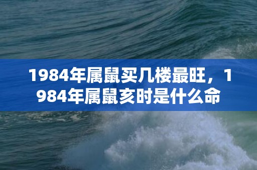 1984年属鼠买几楼最旺，1984年属鼠亥时是什么命