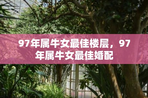 97年属牛女最佳楼层，97年属牛女最佳婚配