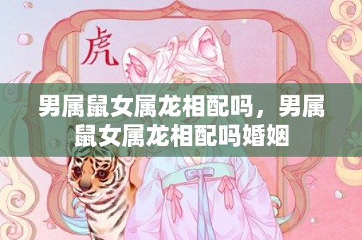 男属鼠女属龙相配吗，男属鼠女属龙相配吗婚姻