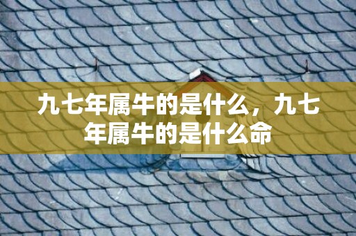 九七年属牛的是什么，九七年属牛的是什么命