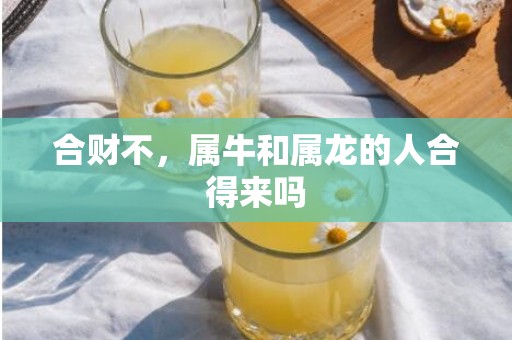 合财不，属牛和属龙的人合得来吗