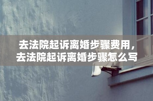 去法院起诉离婚步骤费用，去法院起诉离婚步骤怎么写的 银行起诉到法院要多少步骤