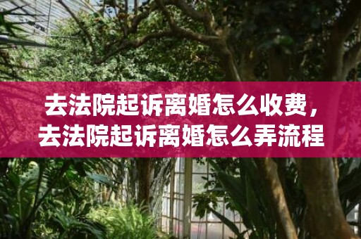 去法院起诉离婚怎么收费，去法院起诉离婚怎么弄流程表(通过法院起诉离婚的步骤)