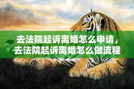 去法院起诉离婚怎么申请，去法院起诉离婚怎么做流程呢？法院起诉费用谁来承担