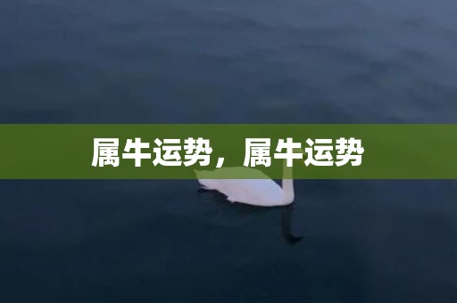 属牛运势，属牛运势