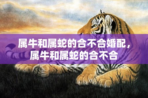 属牛和属蛇的合不合婚配，属牛和属蛇的合不合