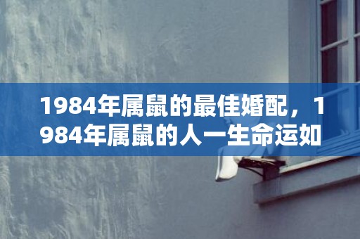 1984年属鼠的最佳婚配，1984年属鼠的人一生命运如何
