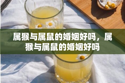 属猴与属鼠的婚姻好吗，属猴与属鼠的婚姻好吗