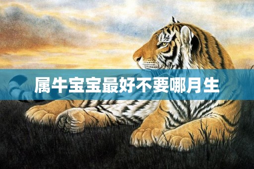 属牛宝宝最好不要哪月生