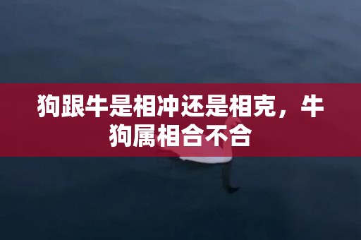 狗跟牛是相冲还是相克，牛狗属相合不合
