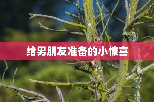 给男朋友准备的小惊喜