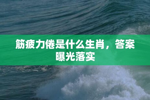 筋疲力倦是什么生肖，答案曝光落实