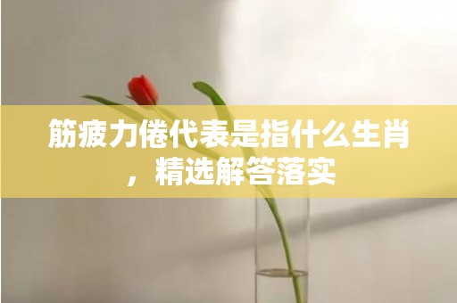 筋疲力倦代表是指什么生肖，精选解答落实