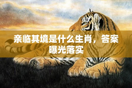 亲临其境是什么生肖，答案曝光落实
