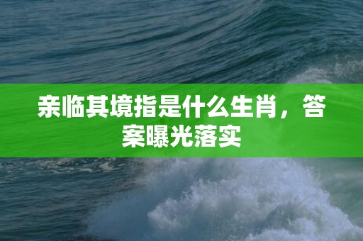 亲临其境指是什么生肖，答案曝光落实