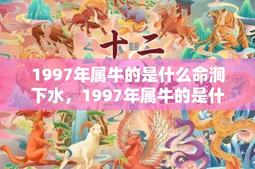 1997年属牛的是什么命涧下水，1997年属牛的是什么命