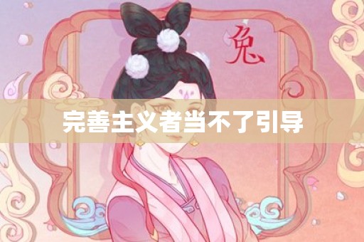 完善主义者当不了引导
