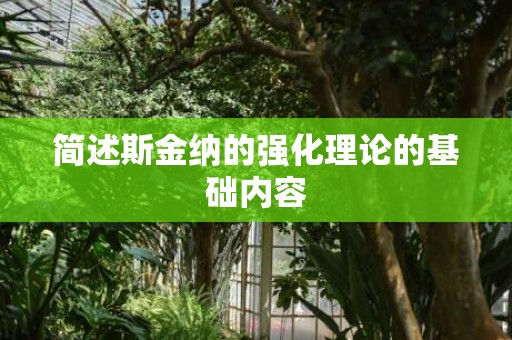 简述斯金纳的强化理论的基础内容
