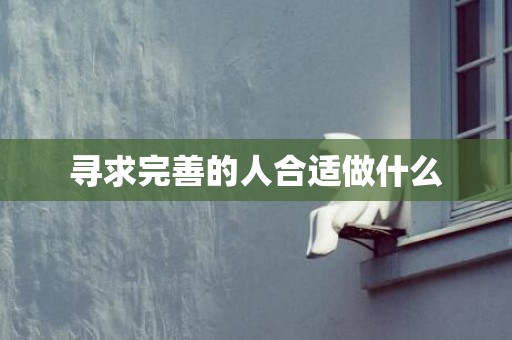 寻求完善的人合适做什么