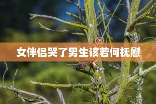 女伴侣哭了男生该若何抚慰