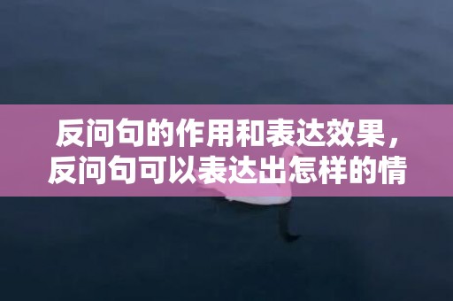 反问句的作用和表达效果，反问句可以表达出怎样的情感，反问句的意义
