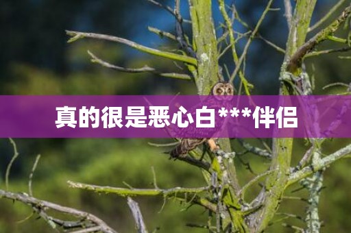 真的很是恶心白***伴侣