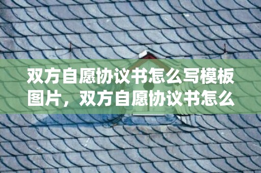 双方自愿协议书怎么写模板图片，双方自愿协议书怎么写格式？(个人简单双方协议书)