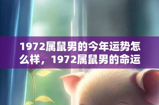 1972属鼠男的今年运势怎么样，1972属鼠男的命运2023