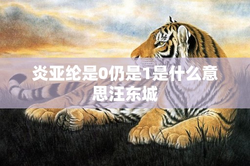 炎亚纶是0仍是1是什么意思汪东城