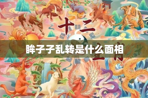 眸子子乱转是什么面相