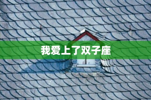 我爱上了双子座